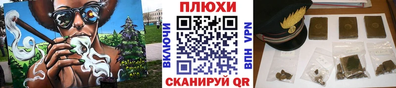 ГАШ Изолятор  Гатчина 