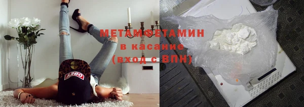 прущие грибы Бронницы