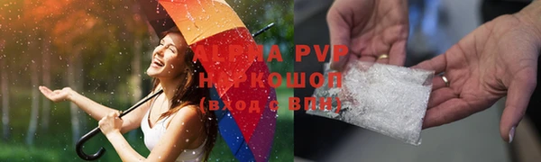прущие грибы Бронницы