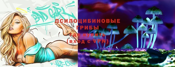 прущие грибы Бронницы