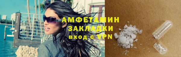 прущие грибы Бронницы