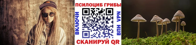 Галлюциногенные грибы MAGIC MUSHROOMS закладки Гатчина