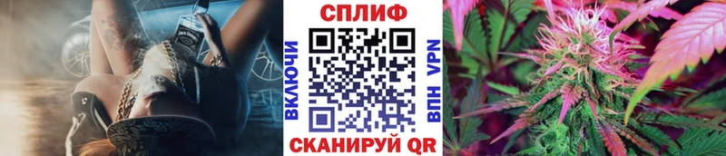 Бошки Шишки Amnesia  купить закладку  Гатчина 